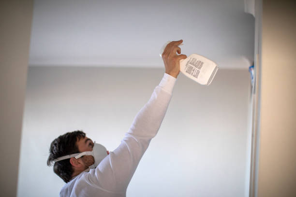 Trusted Fairview, UT Mold Removal Experts