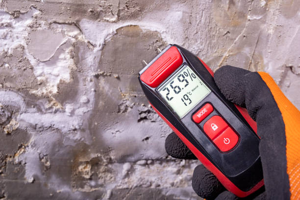 Best Local Mold Removal Service  in Fairview, UT