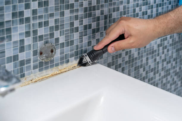 Best Fast Mold Removal  in Fairview, UT
